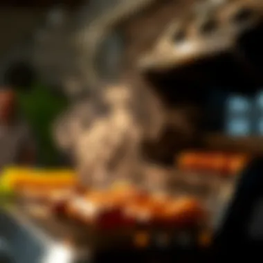 Magnificent Evaluating the Efficacy of Electric Grills