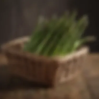 A vibrant display of fresh asparagus spears in a rustic basket