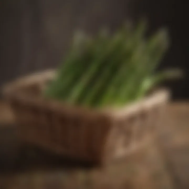 A vibrant display of fresh asparagus spears in a rustic basket