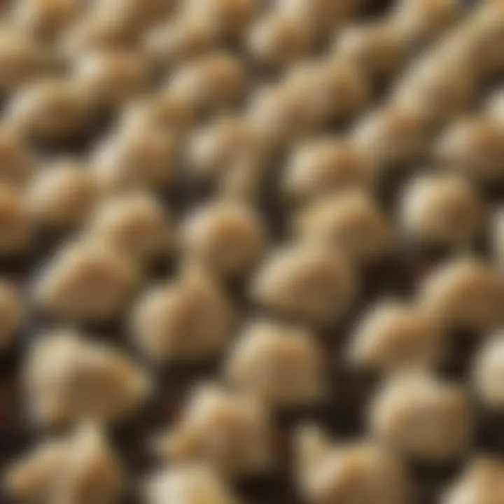 Assorted dumplings ready to be added to broth