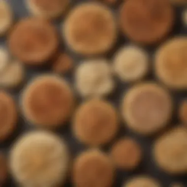 An assortment of pizzelle flavors arranged elegantly on a plate