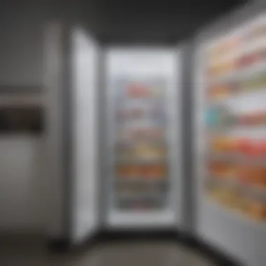 Interior view of an upright deep freezer displaying ample storage space.