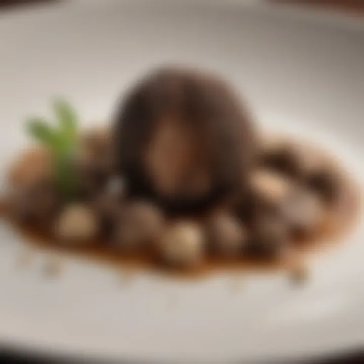 A visually appealing truffle-based dish presented on a fine dining plate.