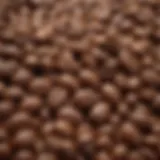 A close-up of light roast coffee beans showcasing their lighter color and oiliness