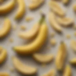 Nutritional breakdown of bananas