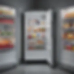 Comparison of chest freezer and stand-up freezer showcasing organizational features