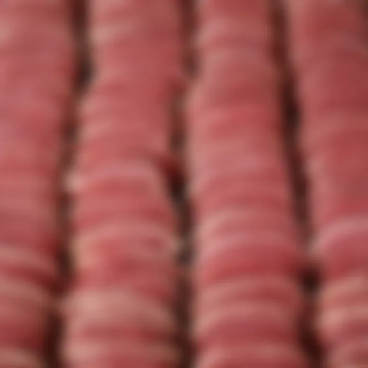 An array of corned beef products available at a grocery store.