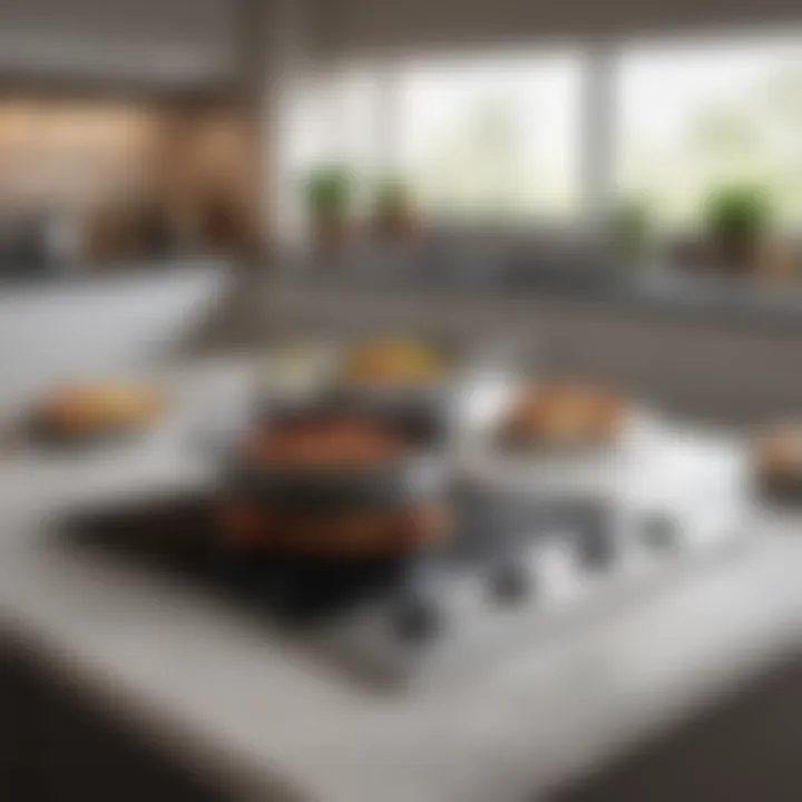 Induction cooktop in a stylish kitchen environment
