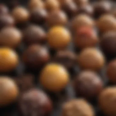 Diverse Flavor Fillings A variety of fillings for chocolate bombs showcasing diverse flavors