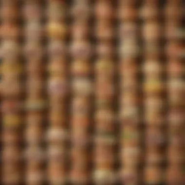 Gourmet Ingredients Selection An assortment of gourmet sandwich ingredients