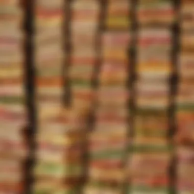 The Evolution of Sandwiches Historical context of sandwich evolution