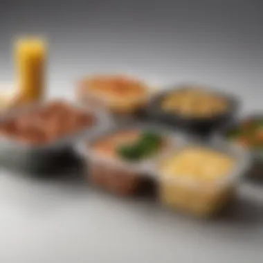 Prepared Meal Containers for Quick Access Containers filled with various prepared meals