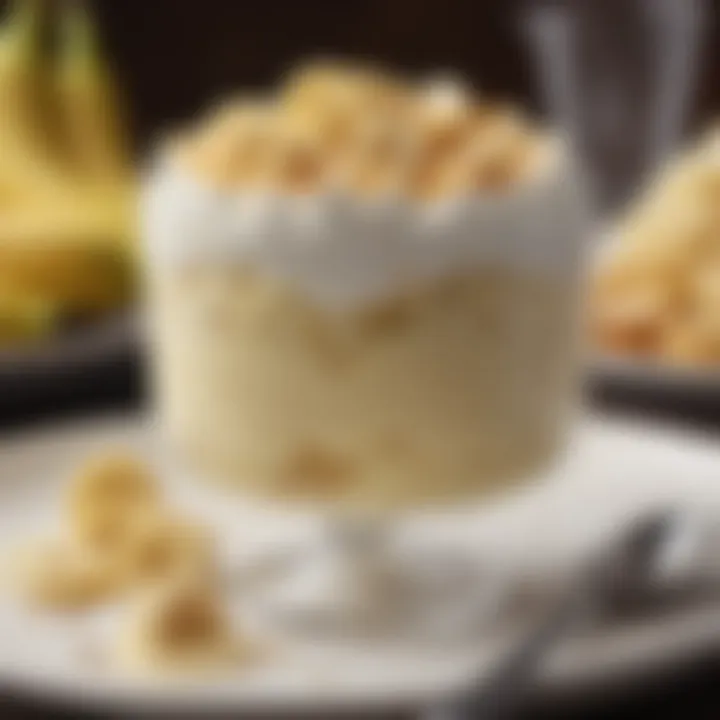 Creamy banana pudding crafted for sensitive digestive needs