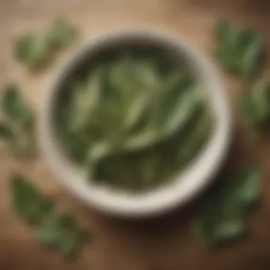 Historical illustration depicting the use of bay leaves in ancient cuisine