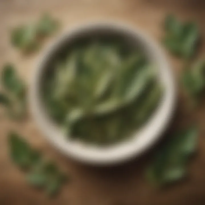 Historical illustration depicting the use of bay leaves in ancient cuisine