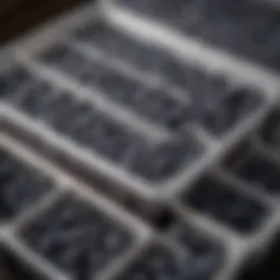 Freshly stored blueberries in a modern container