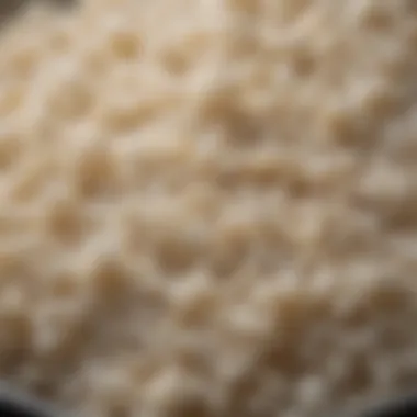 A perfectly cooked bowl of rice with steam rising, demonstrating ideal texture.