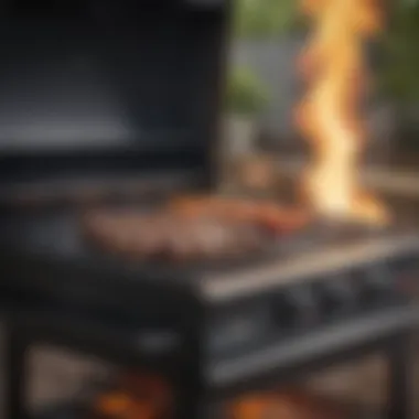 Flavorful Propane Grill Experience Propane grill with flames and smoke, emphasizing flavor.
