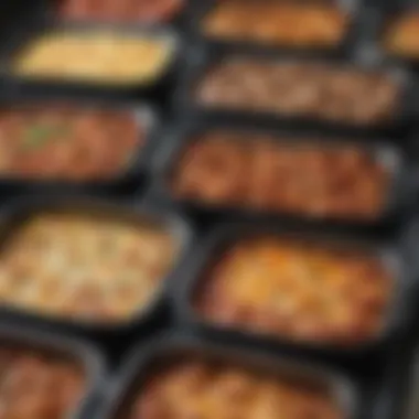 Diverse Broiling Pan Options A variety of broiling pans showcasing different materials and designs