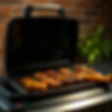 Notable Evaluating the Efficacy of Electric Grills