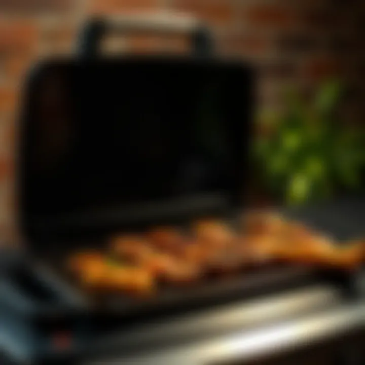 Notable Evaluating the Efficacy of Electric Grills
