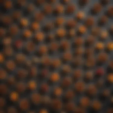 Flavor Profiles of Smoked Dishes An array of smoked dishes highlighting various flavors achieved through different smoking pellets
