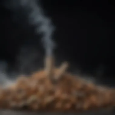Aroma and Smoke from Smoking Pellets Close-up of a smoker filled with smoking pellets and aromatic smoke wafting out