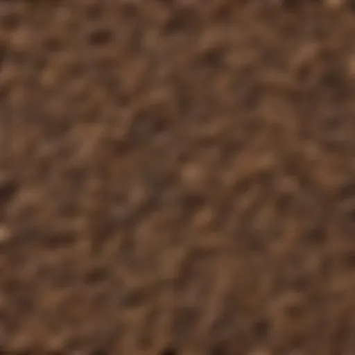 Variety of smoking pellets in different wood types showcasing their unique colors and textures