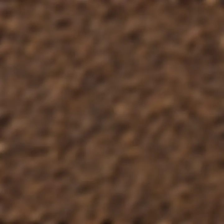 Variety of smoking pellets in different wood types showcasing their unique colors and textures