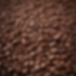 Artisan coffee beans sourced from diverse regions