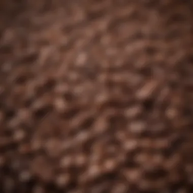 Diverse Sourcing of Artisan Coffee Beans Artisan coffee beans sourced from diverse regions