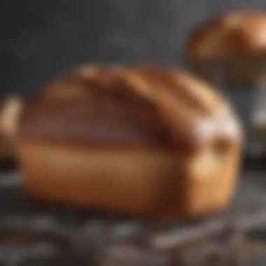 Freshly baked loaf of bread cooling on a wire rack