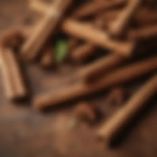 A close-up view of cinnamon sticks and cardamom pods illustrating their textures and colors.