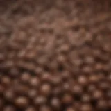 Close-up of coffee beans with high caffeine content