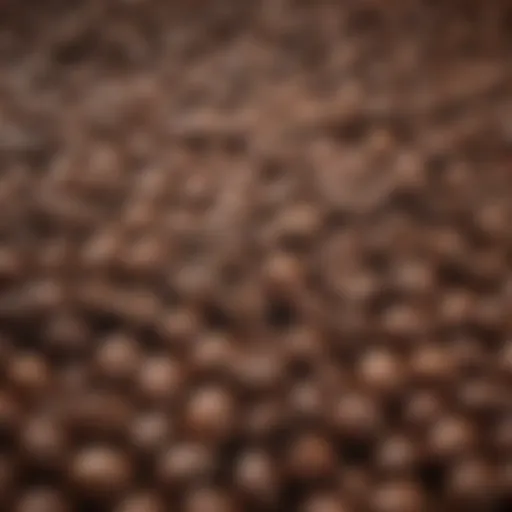 Close-up of coffee beans with high caffeine content