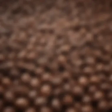 High Caffeine Coffee Beans Close-up of coffee beans with high caffeine content