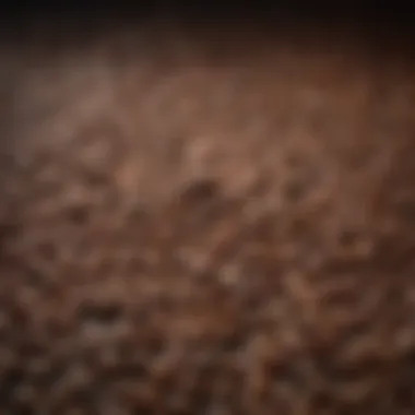 Varieties of Caffeinated Coffee A selection of coffee varieties showcasing caffeine levels