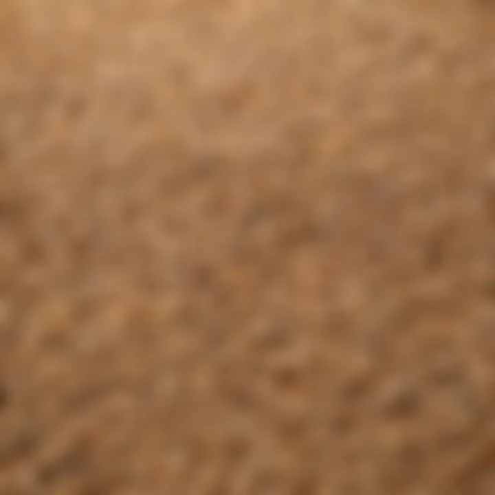 A close-up of whole grains with a focus on their health benefits.