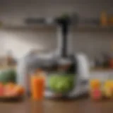 A sleek single gear masticating juicer showcasing its compact design and efficient extraction.