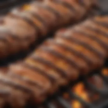 Close-up of marinated grilled meats sizzling on a barbecue, highlighting the rich flavors and textures.