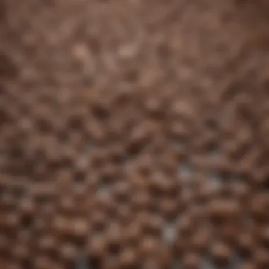 Variety of coffee beans and iced coffee options.