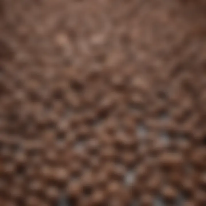 Variety of coffee beans and iced coffee options.