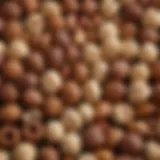 A close-up view of assorted low-carb nuts showcasing their unique textures and colors.