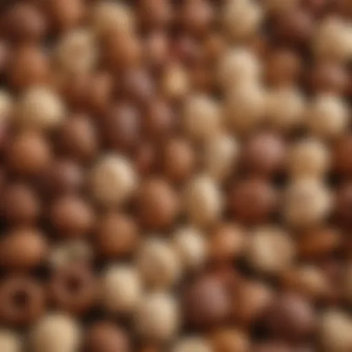 A close-up view of assorted low-carb nuts showcasing their unique textures and colors.