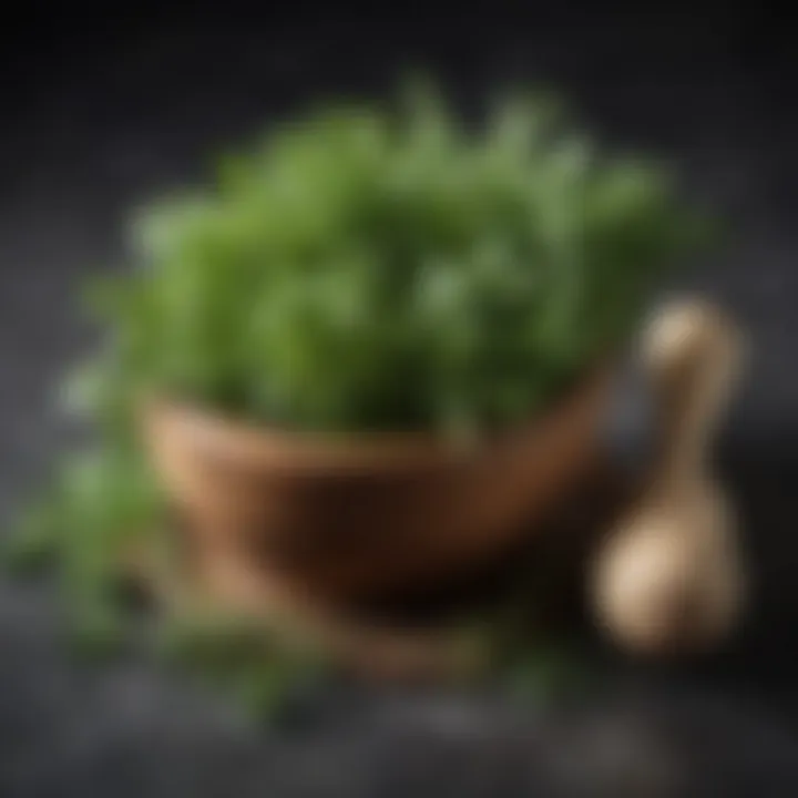 An array of fresh herbs ready for grinding in a wooden pestle.