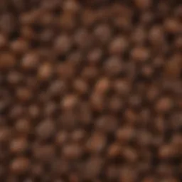 A selection of natural decaf coffee beans showcasing various colors and textures