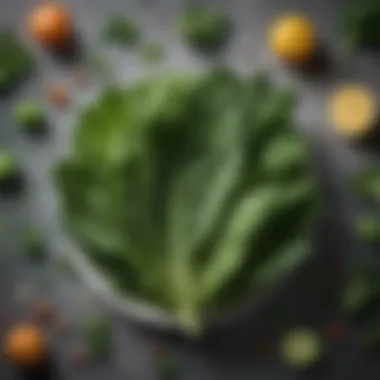 Leafy Greens: Surprising Sources of Protein A vibrant display of leafy greens known for protein content
