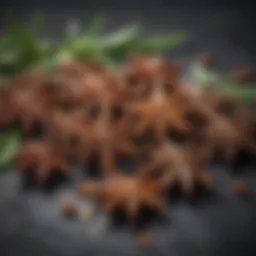 Star anise pods and their distinctive star shape