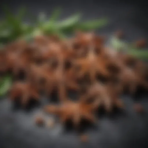 Star anise pods and their distinctive star shape