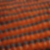 A vibrant display of various orange extract bottles showcasing color and texture.